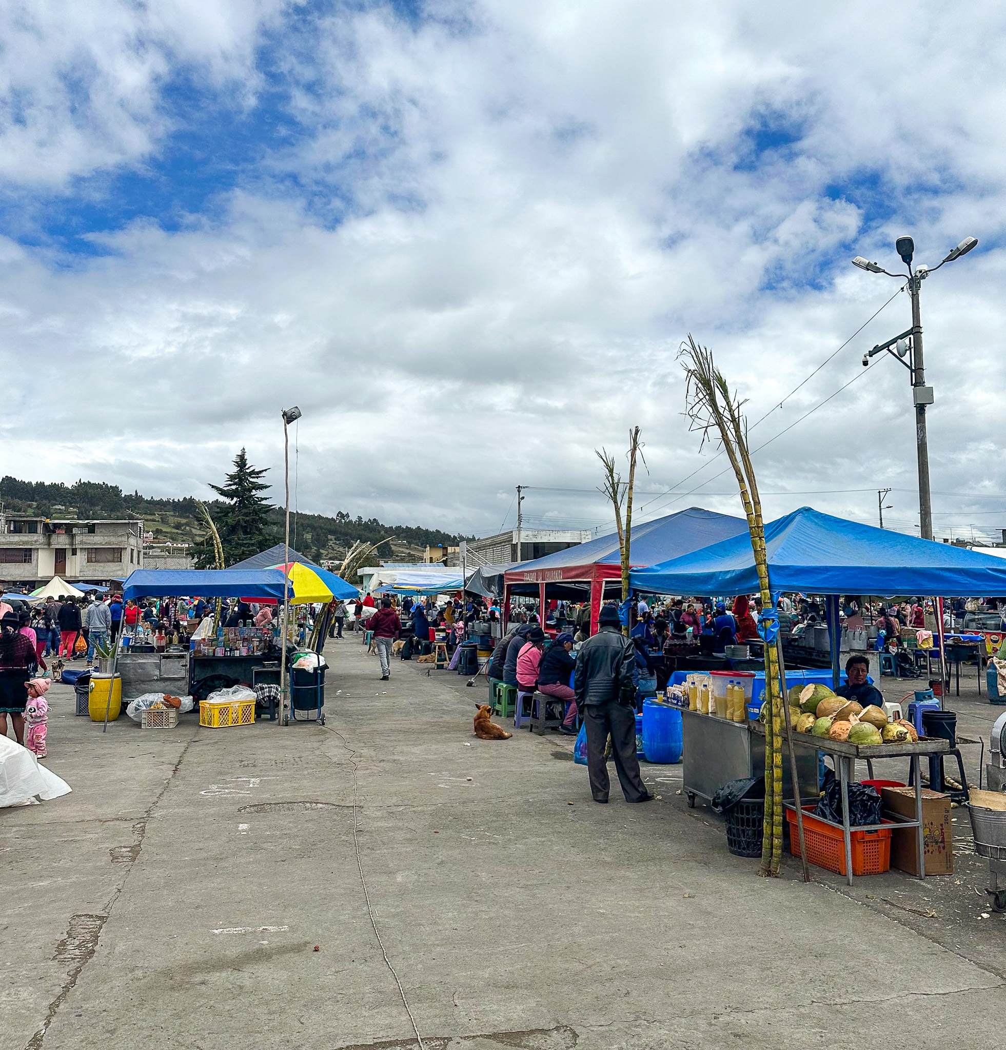 Saquisilí Local Markets